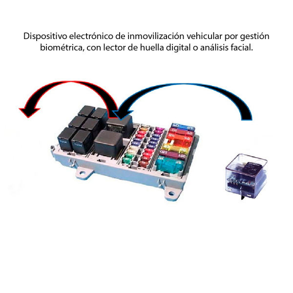 Llave Biometrica Vehicular- Por Huella Dactilar o Biometrica facial - Imagen 5